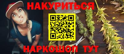 стафф Ставрополь