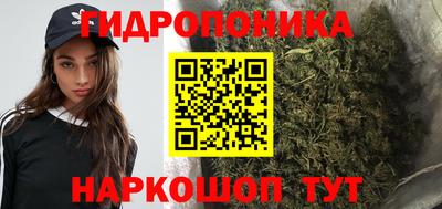 стафф Ставрополь
