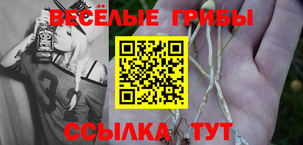 Псилоцибиновые грибы MAGIC MUSHROOMS  Псилоцибиновые грибы Psilocybine cubensis  где продают   Вход с VPN  Павлово 